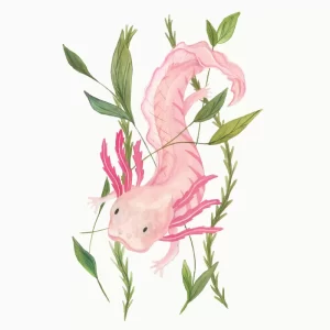 Ilustración de axolotl enredado (acuarela original)
